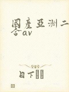 国产亚洲二区综合av