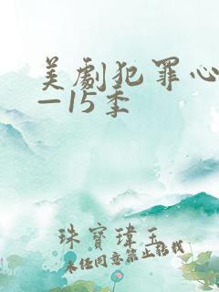 美剧犯罪心理1—15季