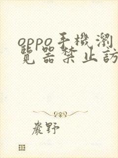 oppo手机浏览器禁止访问网站