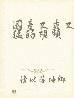 国产又爽又粗又猛的视频