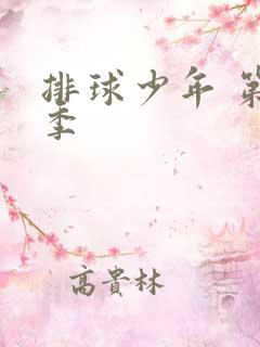 排球少年 第二季