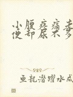 小腹疼痛老想小便却尿不多