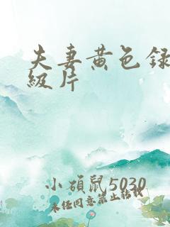 夫妻黄色录像一级片