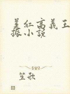 美红高义王申赵振小说