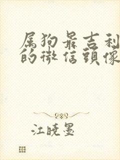 属狗最吉利旺财的微信头像