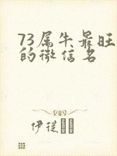 73属牛最旺财的微信名
