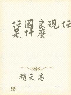 任国良现任职务是什么