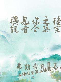 遇见你之后免费观看全集完整版