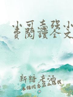 小可志强小说免费阅读全文最新章节更新