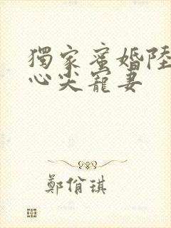 独家蜜婚陆少的心尖宠妻