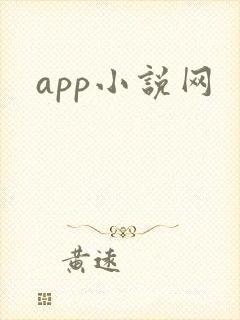 app小说网