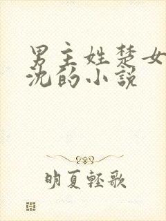 男主姓楚女主姓沈的小说