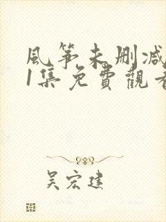 风筝未删减版51集免费观看