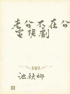 老公不在公迫我 电视剧