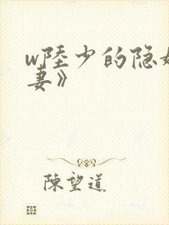 w陆少的隐婚罪妻》