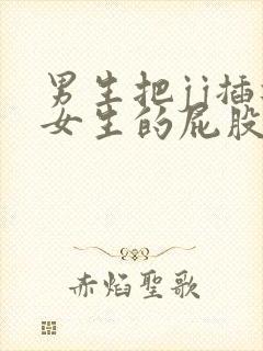 男生把jj插进女生的屁股里