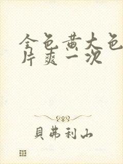 全色黄大色黄大片爽一次