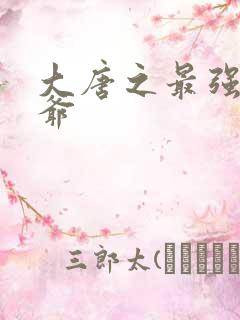 大唐之最强太子爷