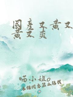 国产又黄又粗又黄又爽