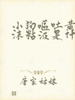 小狗呕吐黄水泡沫粘液是什么原因