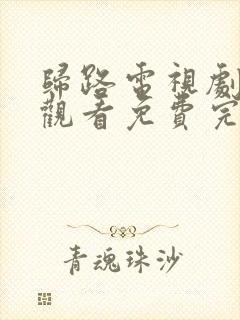 归路电视剧在线观看免费完整版