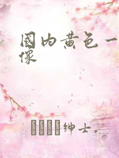 国内黄色一级录像