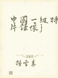 中国一级特黄大片录像j