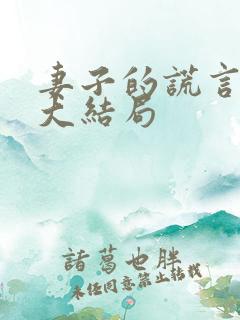 妻子的谎言小说大结局