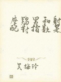 摩羯男和射手女配对指数是多少