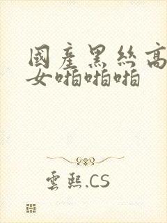 国产黑丝高跟美女啪啪啪