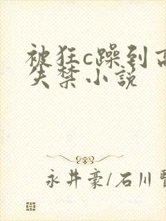 被狂c躁到高潮失禁小说