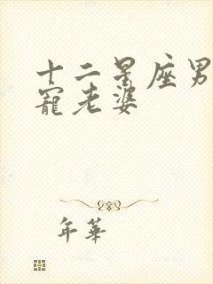 十二星座男谁最宠老婆