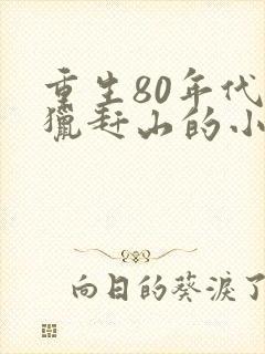 重生80年代打猎赶山的小说