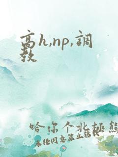 高h,np,调教