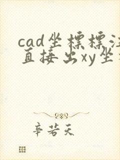 cad坐标标注直接出xy坐标快捷键