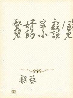 赘婿宁毅/苏檀儿的小说免费阅读