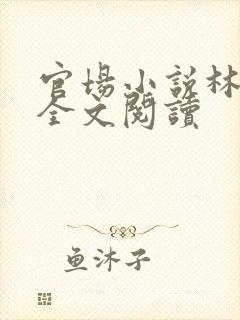 官场小说林志强全文阅读