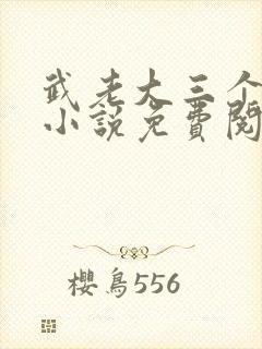 武老大三个媳妇小说免费阅读