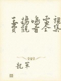 王扬鸣电视剧免费观看全集