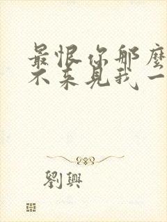 最恨你那么久都不来见我一次是什么歌