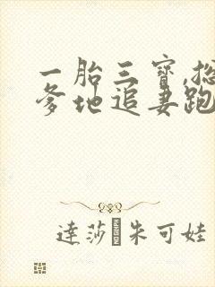 一胎三宝,总裁爹地追妻跑