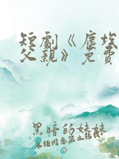 短剧《尘埃里的父亲》免费观看