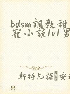 bdsm调教甜宠小说1v1男女