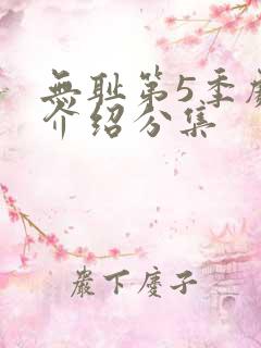 无耻第5季剧情介绍分集