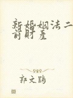 新婚姻法二婚婚前财产