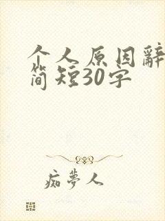 个人原因辞职信简短30字