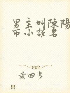 男主叫陈阳的都市小说名