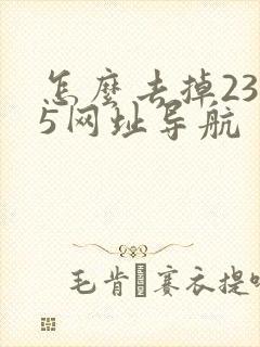 怎么去掉2345网址导航