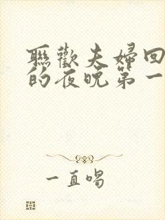 联欢夫妇回不去的夜晚第一季