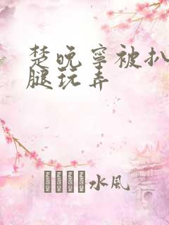 楚晚宁被扒开双腿玩弄